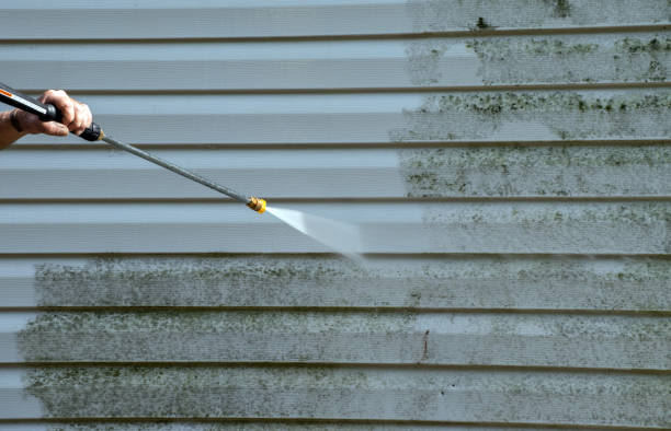 Best Patio and Deck Pressure Washing  in Elba, AL